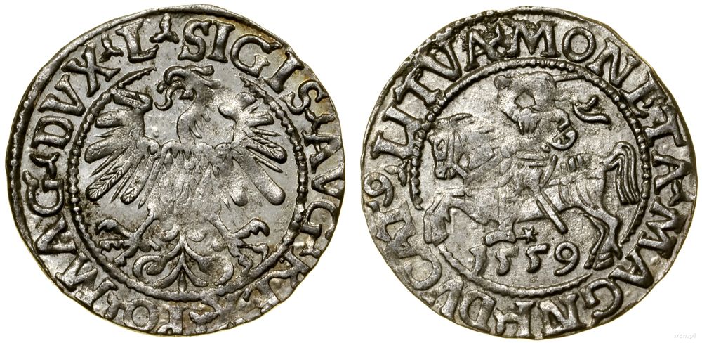 Polska, półgrosz, 1559