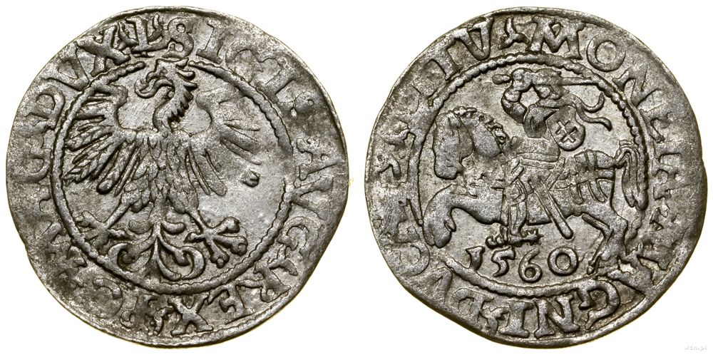 Polska, półgrosz, 1560