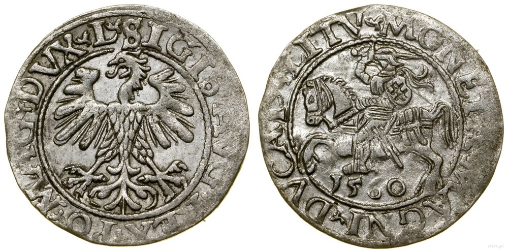 Polska, półgrosz, 1560