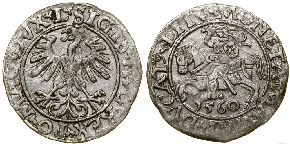 Polska, półgrosz, 1560