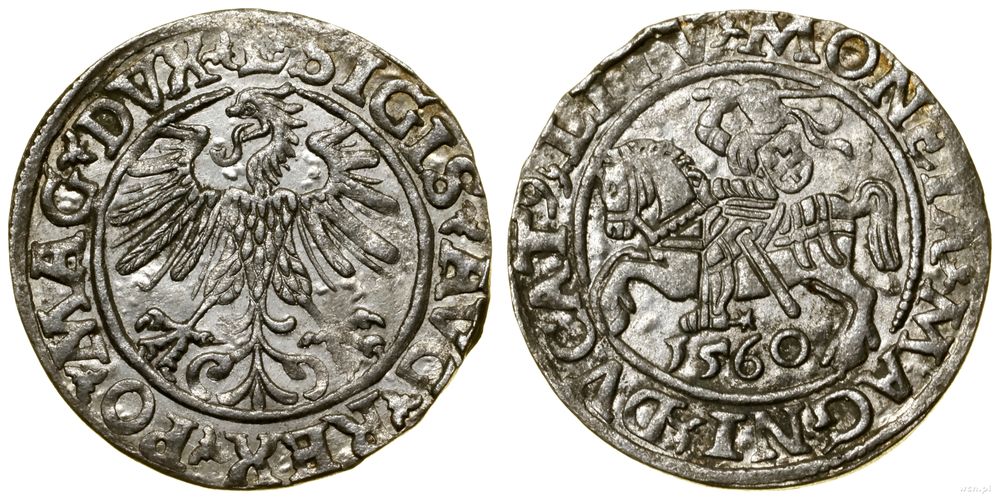 Polska, półgrosz, 1560