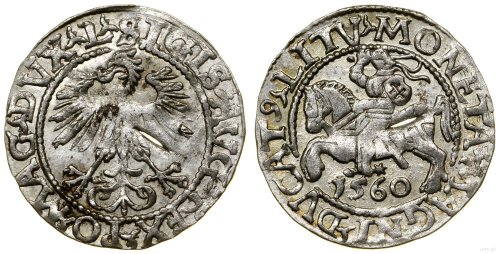 Polska, półgrosz, 1560