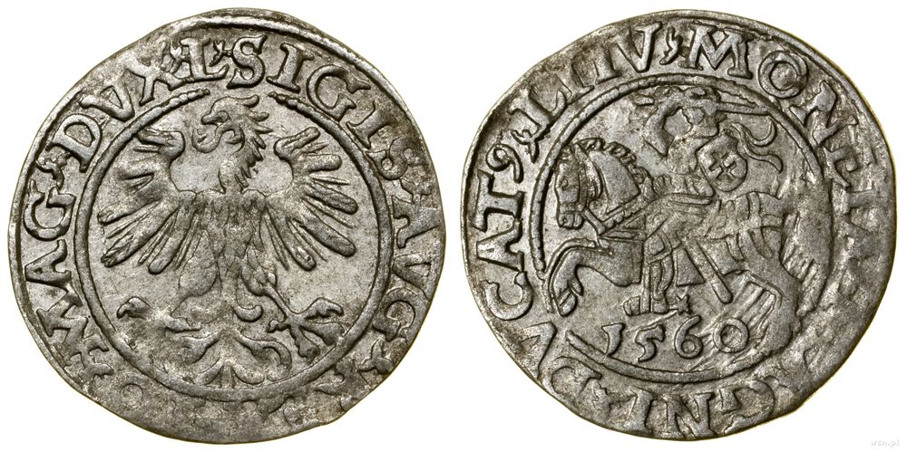 Polska, półgrosz, 1560