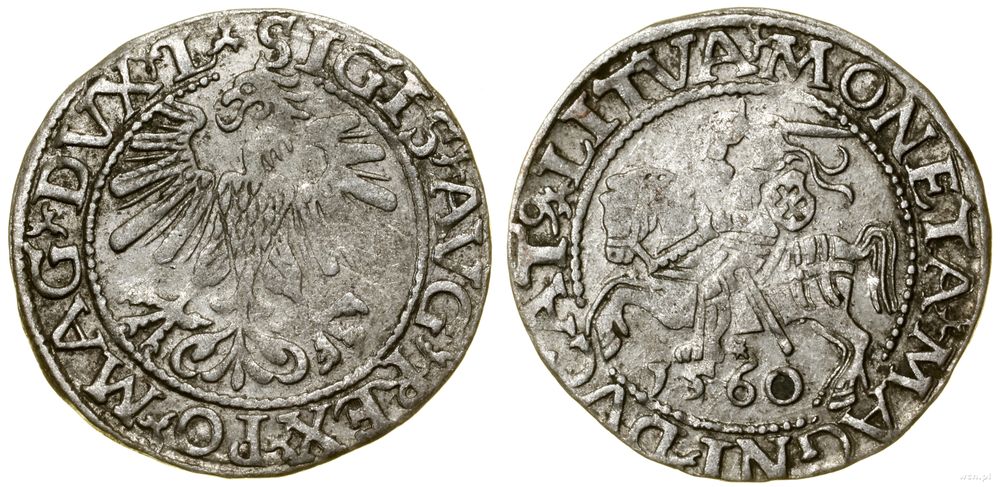 Polska, półgrosz, 1560