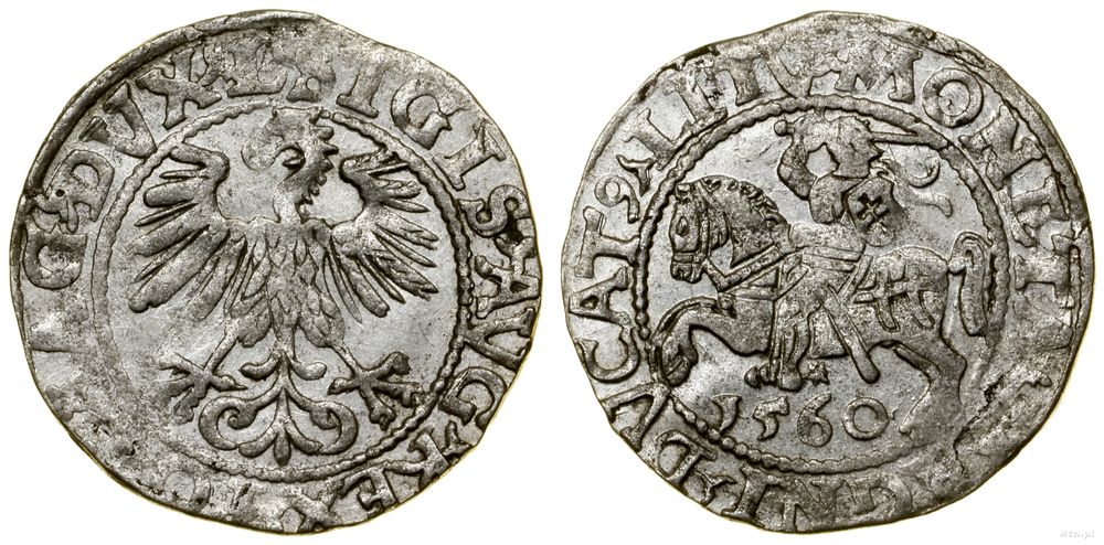 Polska, półgrosz, 1560