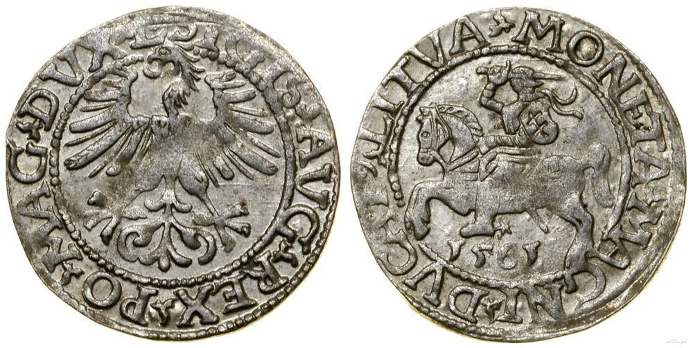 Polska, półgrosz, 1561