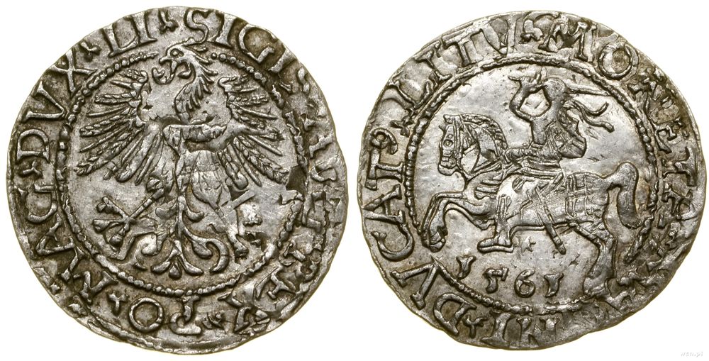 Polska, półgrosz, 1561