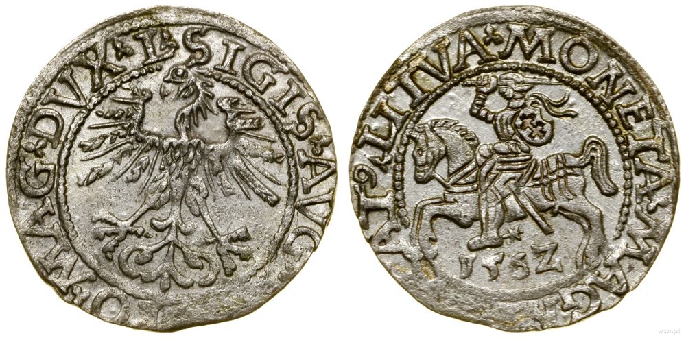Polska, półgrosz, 1562