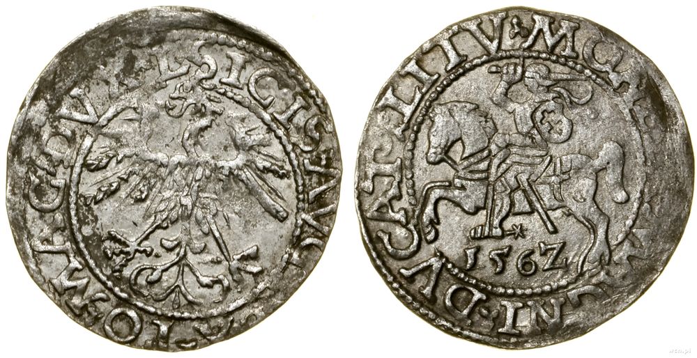 Polska, półgrosz, 1562