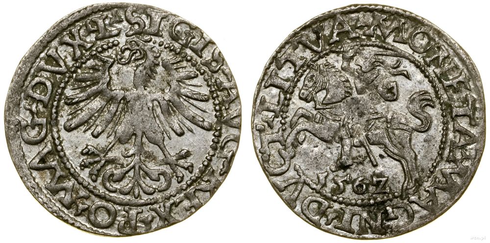 Polska, półgrosz, 1562