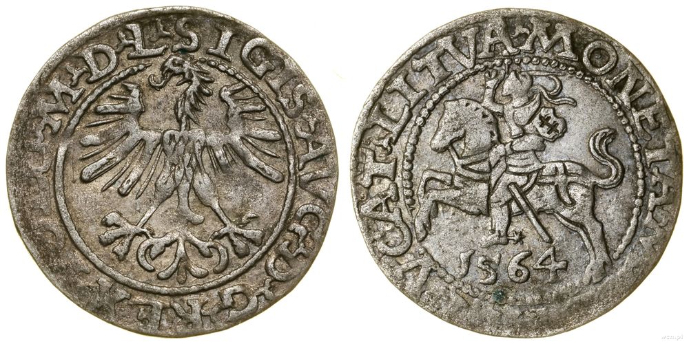 Polska, półgrosz, 1564