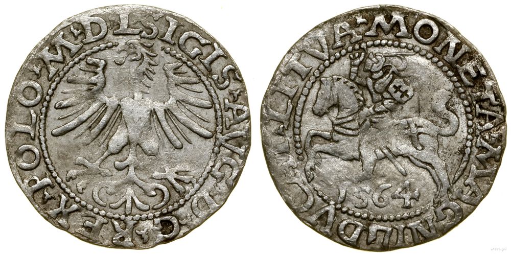 Polska, półgrosz, 1564