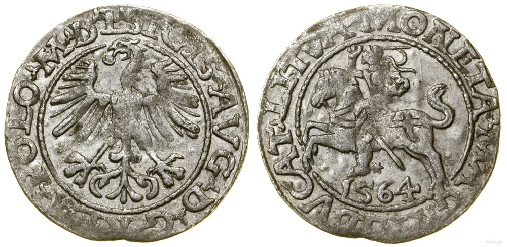Polska, półgrosz, 1564