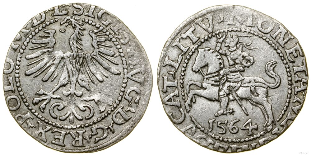 Polska, półgrosz, 1564