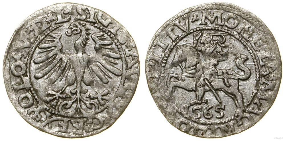 Polska, półgrosz, 1565