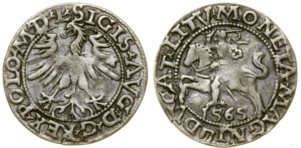Polska, półgrosz, 1565