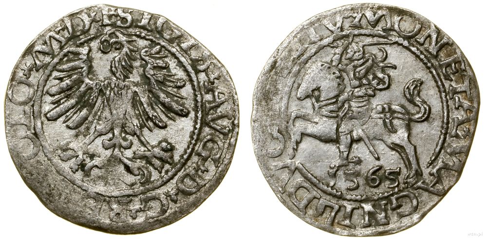 Polska, półgrosz, 1565