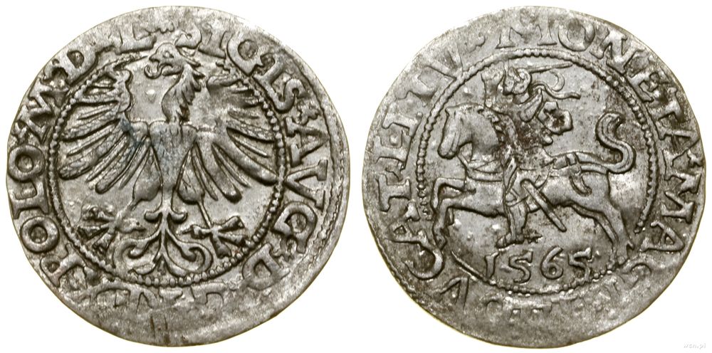 Polska, półgrosz, 1565