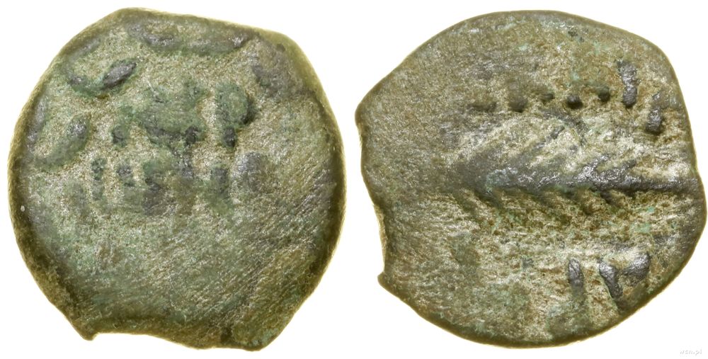 Rzym prowincjonalny, prutah, (58–59)