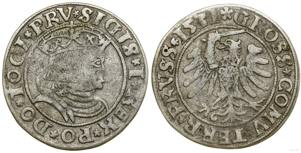 Polska, grosz, 1531
