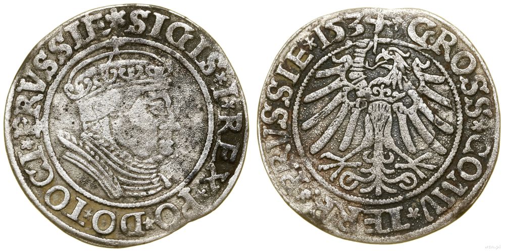 Polska, grosz, 1534