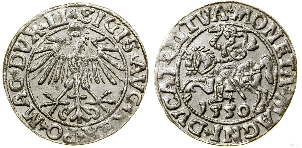 Polska, półgrosz, 1550