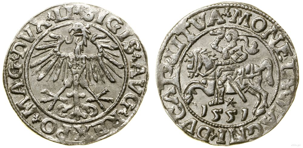 Polska, półgrosz, 1551