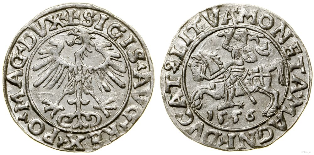 Polska, półgrosz, 1556
