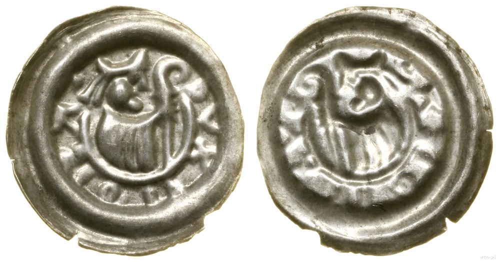 Polska, brakteat, (po ok. 1220 r.)