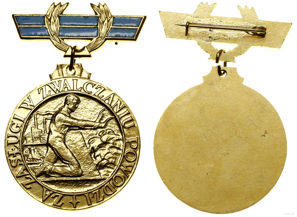 Polska, złota odznaka Za Zasługi w Zwalczaniu Powodzi, (1961–2001)