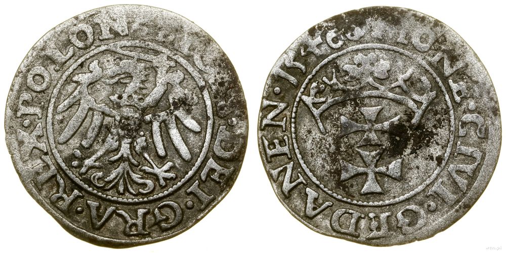Polska, szeląg, 1546