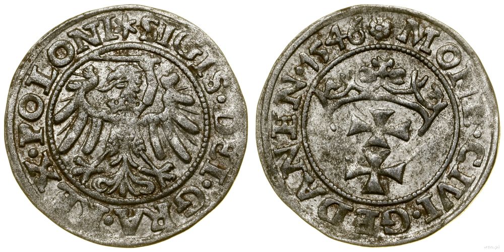 Polska, szeląg, 1546