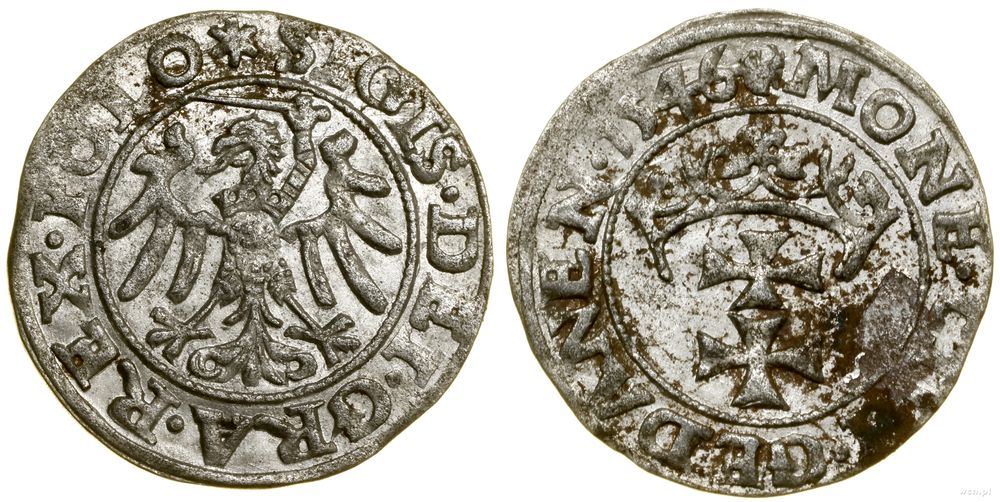 Polska, szeląg, 1546
