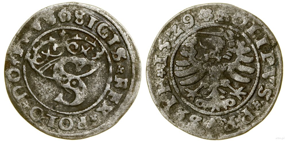 Polska, szeląg, 1529