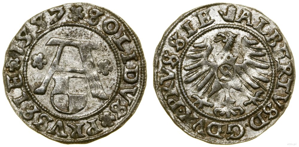 Prusy Książęce (1525–1657), szeląg, 1557