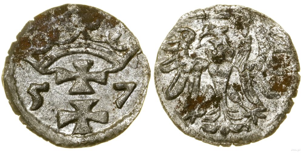 Polska, denar, 1557