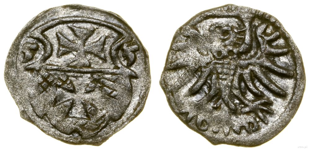 Polska, denar, 1555