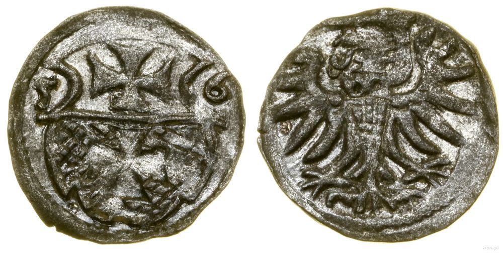 Polska, denar, 1556