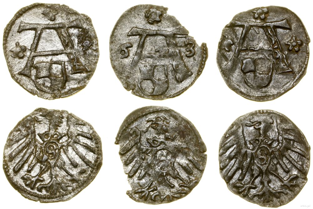 Prusy Książęce (1525–1657), zestaw: 3 x denar