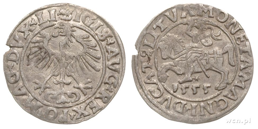 Polska, półgrosz litewski, 1555