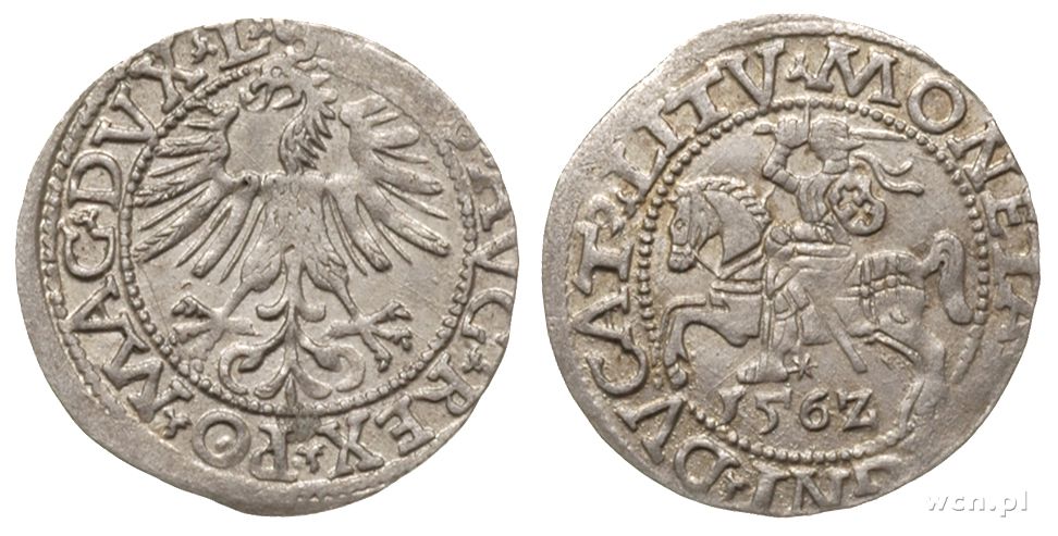 Polska, półgrosz litewski, 1562