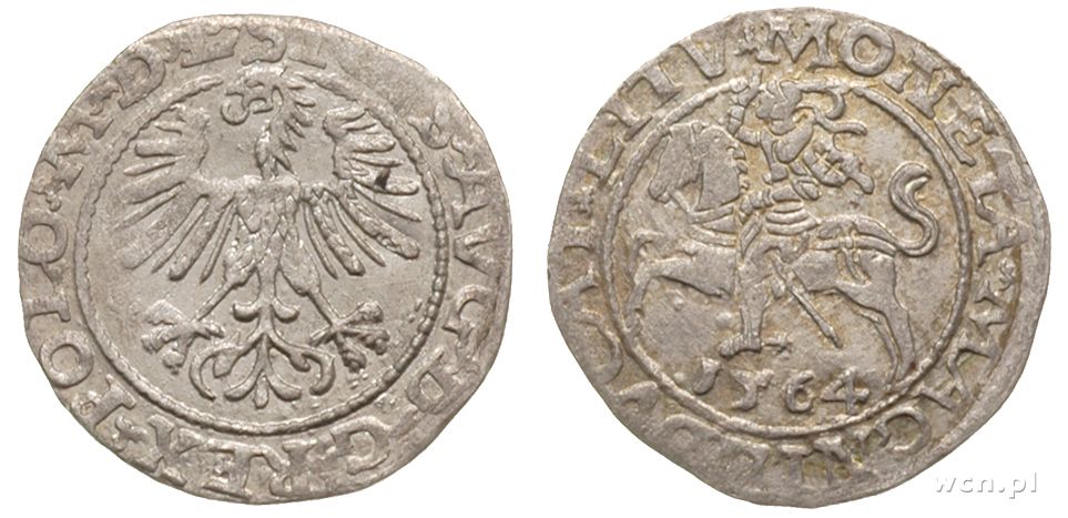 Polska, półgrosz litewski, 1564