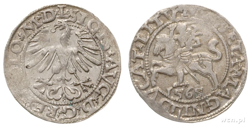 Polska, półgrosz litewski, 1565