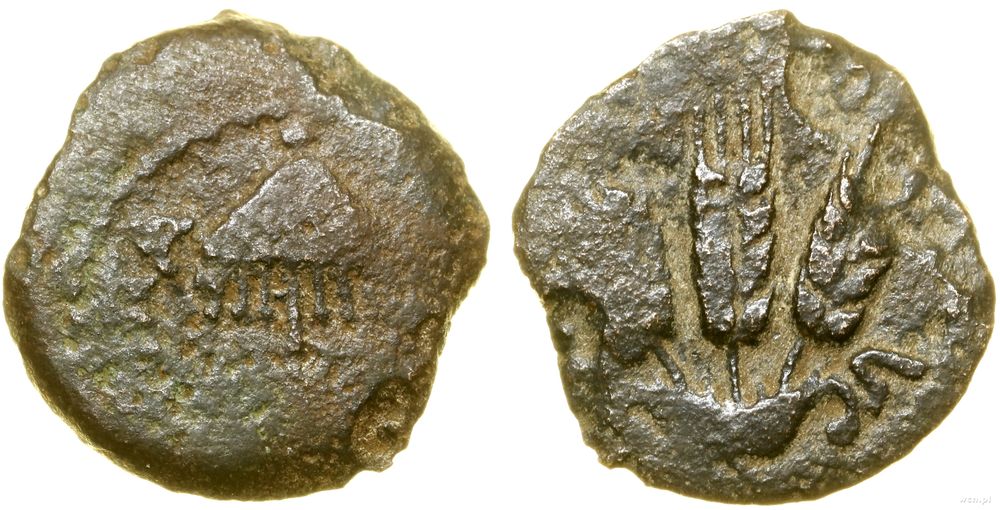 Rzym prowincjonalny, prutah, (42–43 ne)