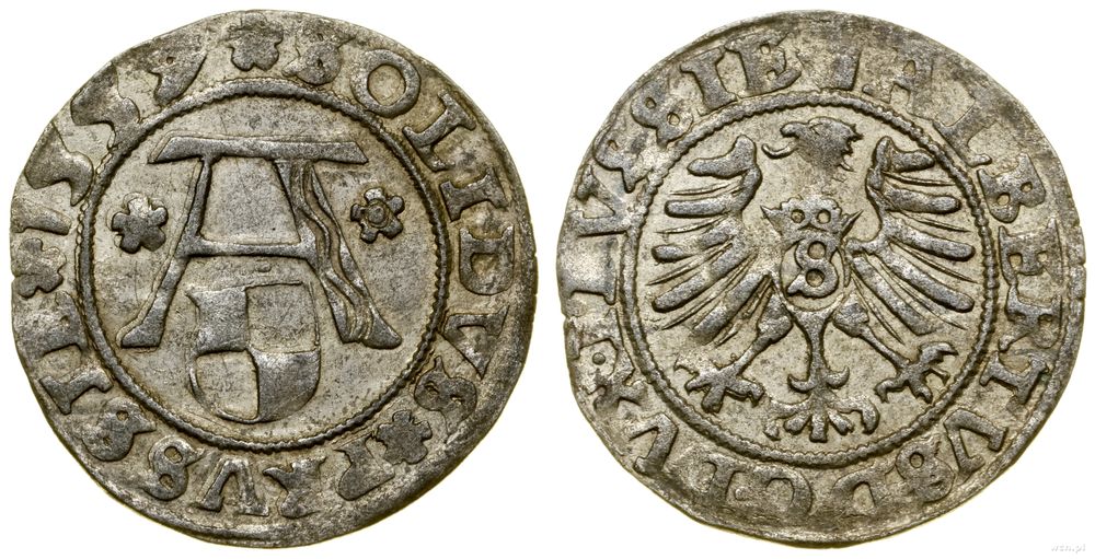 Prusy Książęce (1525–1657), szeląg, 1557