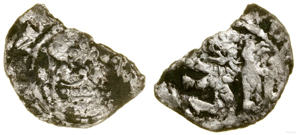 Polska, denar kujawski, (ok. 1320)