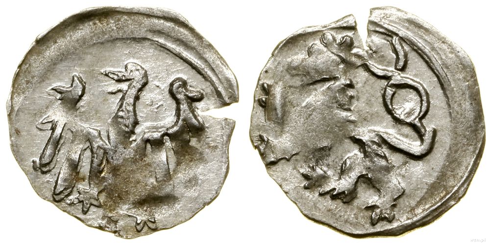 Śląsk, halerz na stopę wrocławską, (1457–1465)