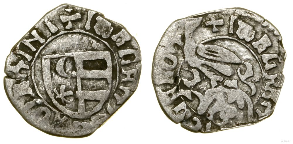 Hospodarstwo Wołoskie, dinar