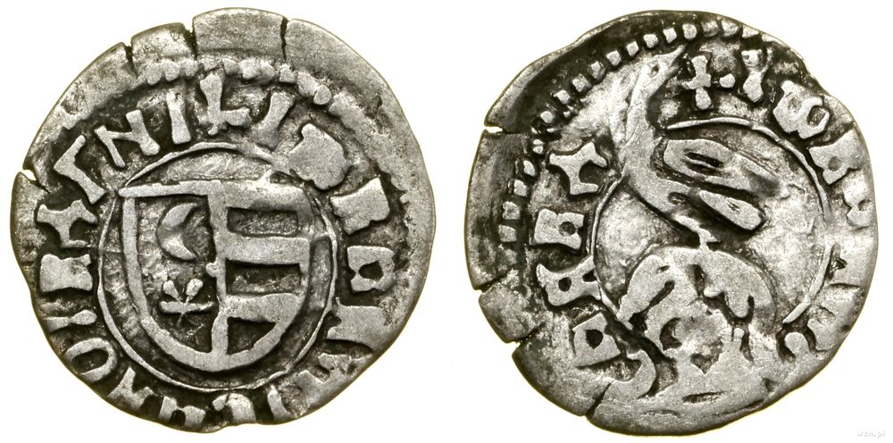 Hospodarstwo Wołoskie, dinar