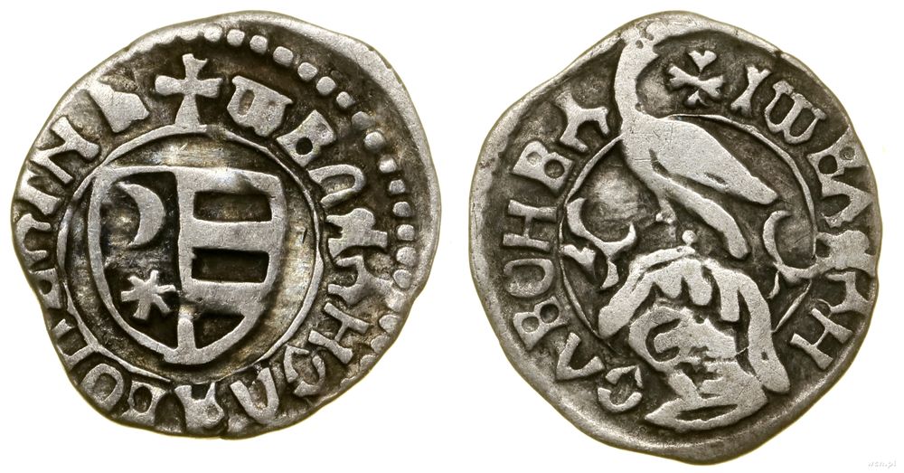 Hospodarstwo Wołoskie, dinar